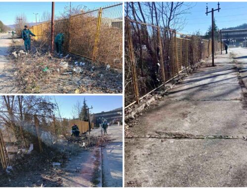 🌿Uređenje ulice Ljuba Čupića!🌿